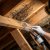 High Ridge Attic Mold Restoration by MCC Cleaning & Restoration