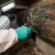 High Ridge Crawlspace Mold Remediation by MCC Cleaning & Restoration