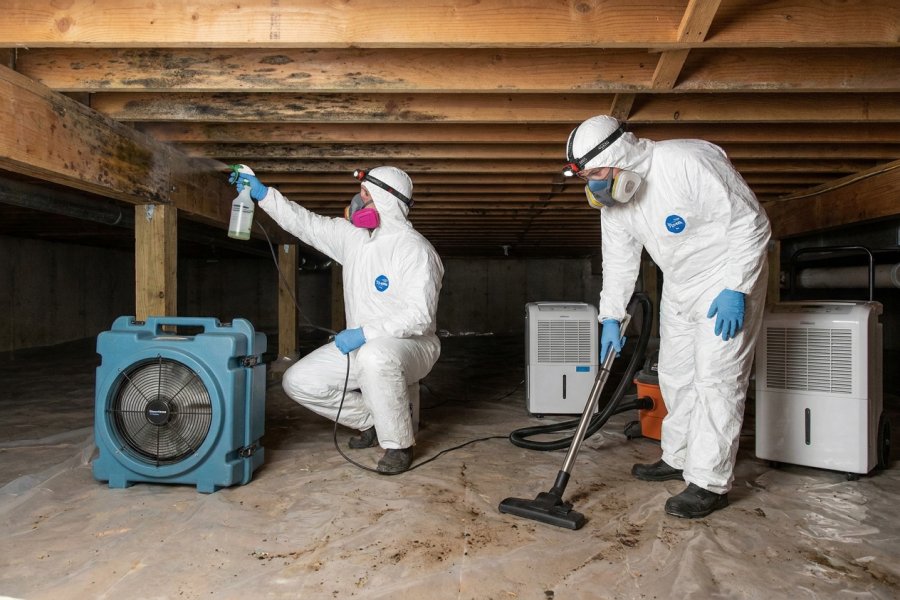 Crawlspace Mold Remediation by MCC Cleaning & Restoration