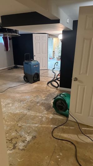 Water Damage Restoration in Saint Loius, MO (1)